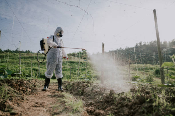 Best Mosquito Control Services  in Sisseton, SD