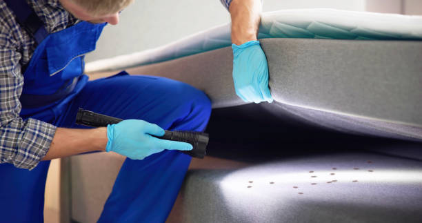 Best Best Pest Control Companies  in Sisseton, SD