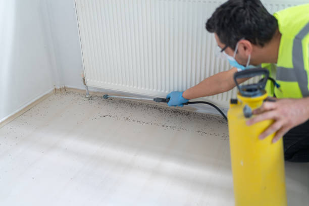 Best Ant Control Services  in Sisseton, SD