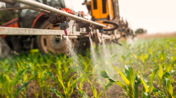 Pest Prevention Services in Sisseton, SD